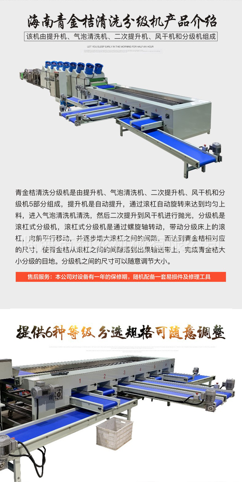 海南青金桔清洗分级机_3.jpg