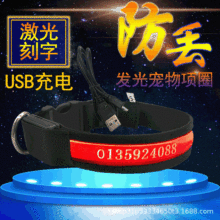 LED宠物用品发光狗项圈USB充电牵引激光刻字防走丢夜光狗领带遛狗