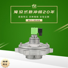 DMF-Y-76S电磁脉冲阀上海脉冲电磁阀袋式袋配3寸淹没式电磁脉冲阀