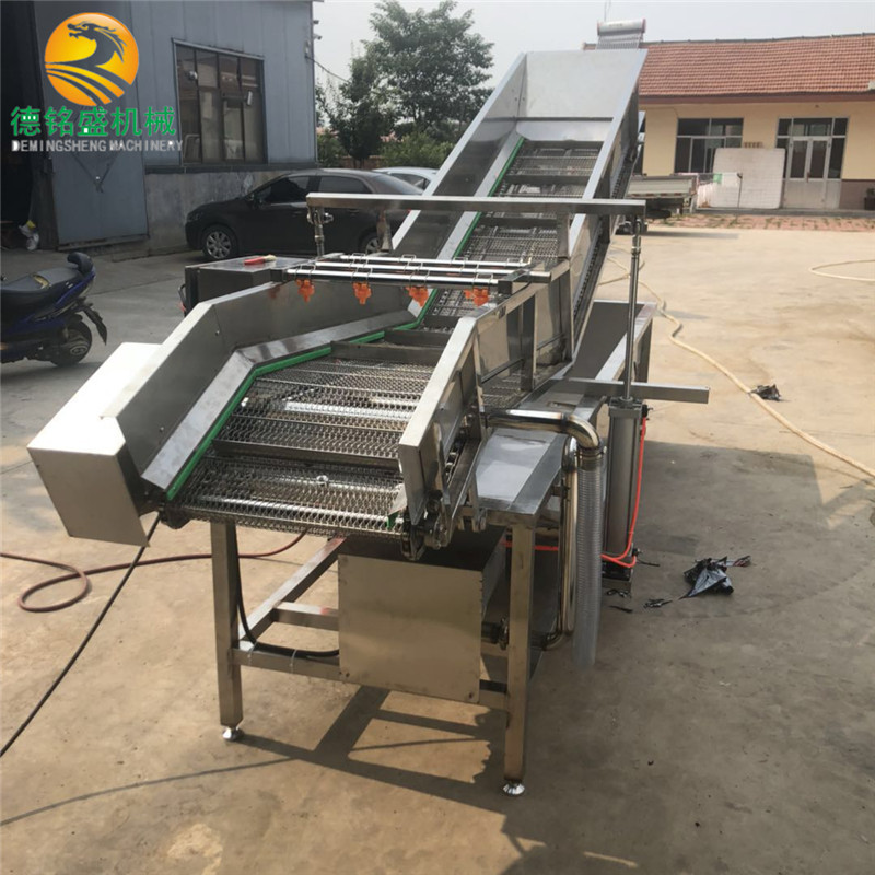 实体商家供菠菜气泡清洗机 鼓泡式洗菜机器 304不锈钢白菜清洗机