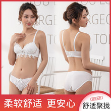 2020�¿�o�Ȧ�ٽz��߅�������b �r���Ըо۔nŮʿ����͸������