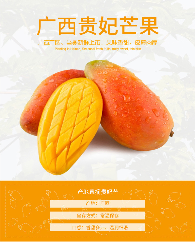 广西贵妃芒_01.jpg