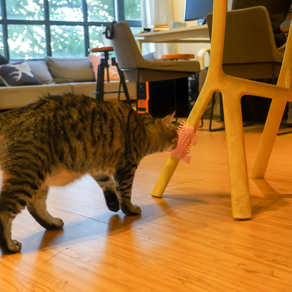 猫咪硅胶蹭痒板 (22).jpg