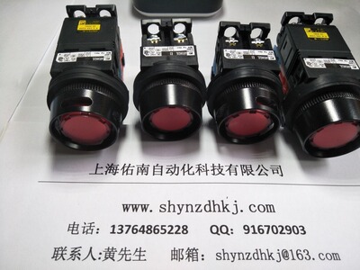 金属环镂空富士按钮AR30G7L-02E3G R S Y W A金属环进口富士按钮