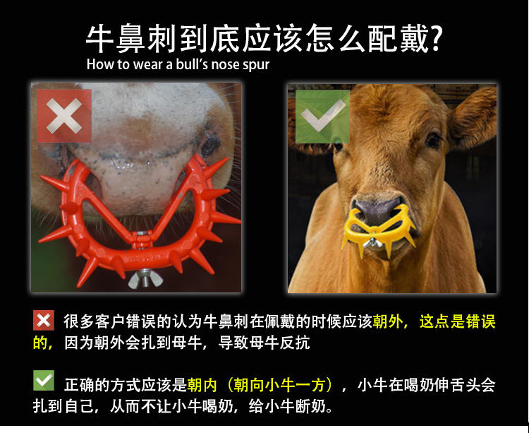 牛鼻刺AA详情页 (1).jpg