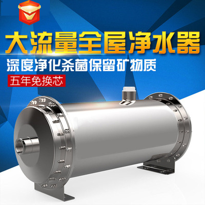 Stainless steel Water purifier household flow The whole house center Water purifier The Conduit filter Manufactor wholesale