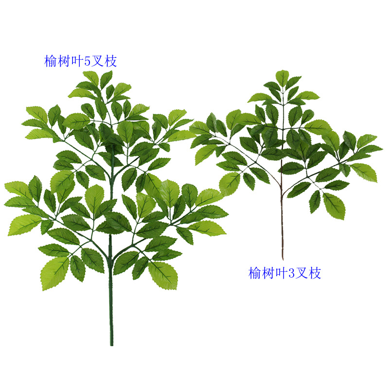 XRB-110 榆树叶三叉 五叉枝.jpg