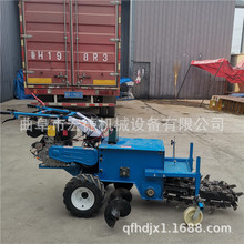 朗l_ϙC ԁˮܵ_ϙC 朗lp朗l_ϙC