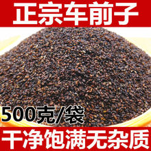 ܇ǰ��500��С܇ǰ���Ѳ�܇ǰ��ș�N��܇ǰ������܇ǰ��