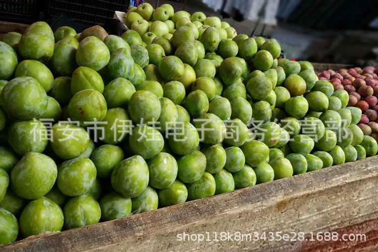 TB2WXXmeXXXXXXeXpXXXXXXXXXX_!!