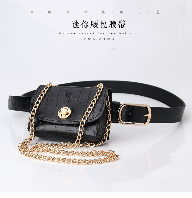 Fashion Leopard Belt Bag Mini Chain Bag  All-match Clothing Belt display picture 16