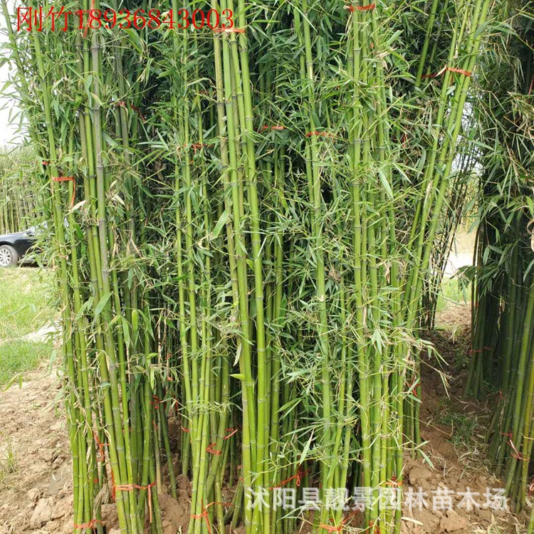 微信圖片_20200804143332