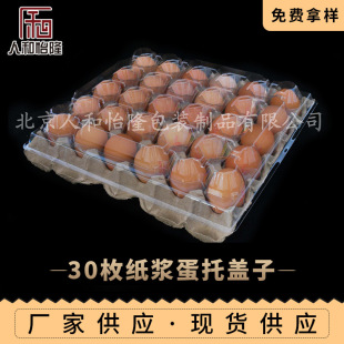 30ö���{���� �u���� PVC͸�����w ���b�����Ϻ�