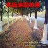 Big tree fruit tree trunk coating white agent lane tree coating white powder tolerance can not drop the powder 20 kg/bag