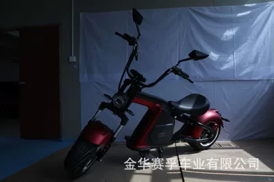 EEC manufacturers directly supply Elektrikli motosikletlər