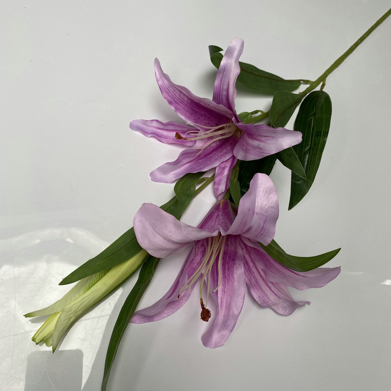 新百合大只浅紫色