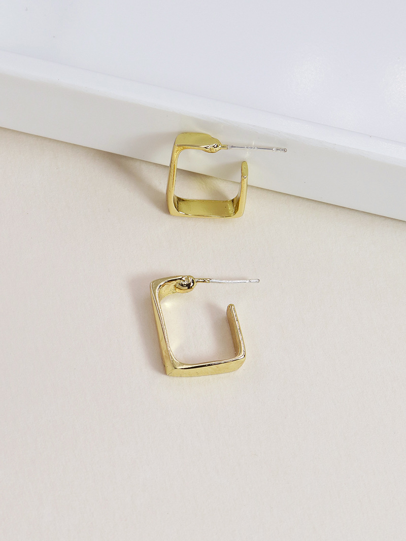 Mode Neue Geometrische Einfache Metall Heiß Verkaufte Legierung Ohrringe display picture 4