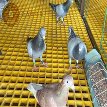 厂家直销玻璃钢微孔格栅防腐无锈鸽子养殖养猪场养鸡场格栅养殖场