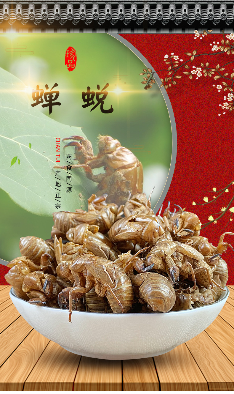 Cicada Slough Chan Tui 蝉蜕 Dried Whole Insect Molt Traditional Chinese Herb 500g Washed overview