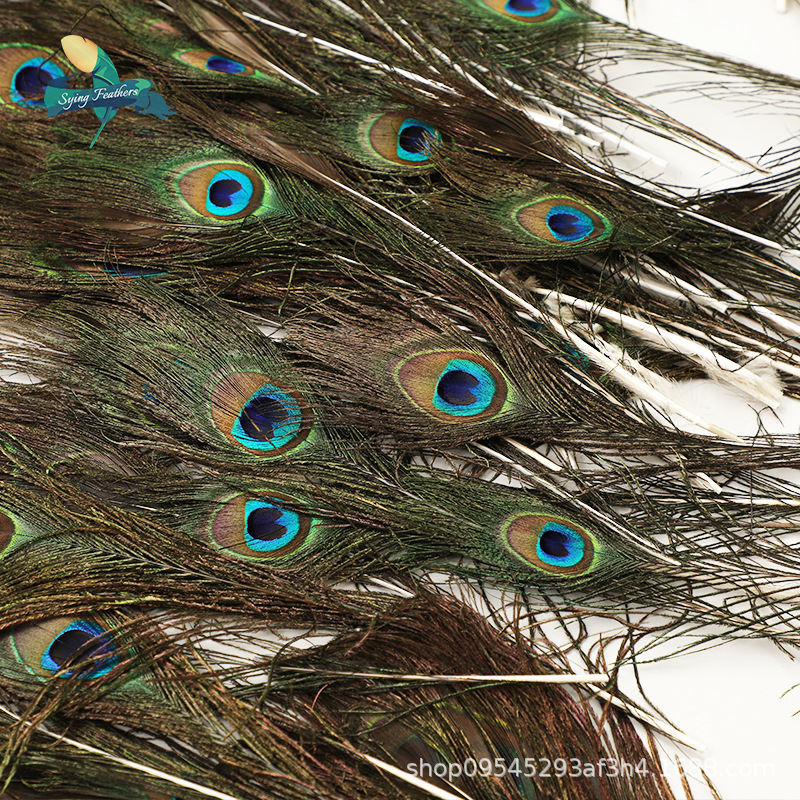 孔雀毛羽毛主图9.png