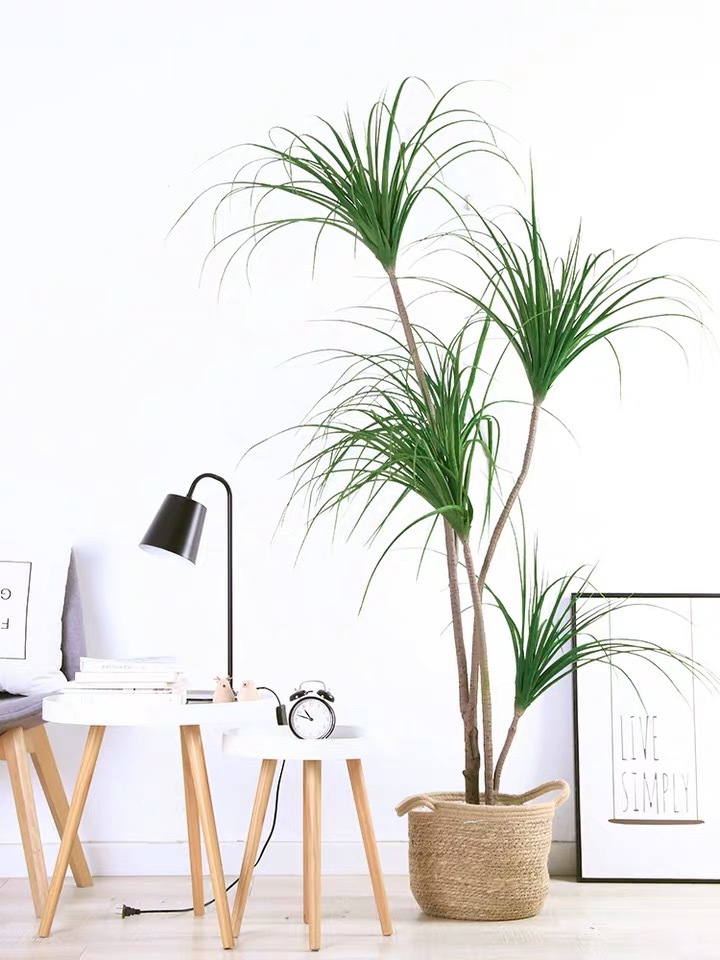 9886d4159f12768a27a3b9d3bbe959