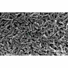 �{�׽�tʯ ��tʯ�{�װ� 50nm 99.9% TiO2 ���Hˮϵ��