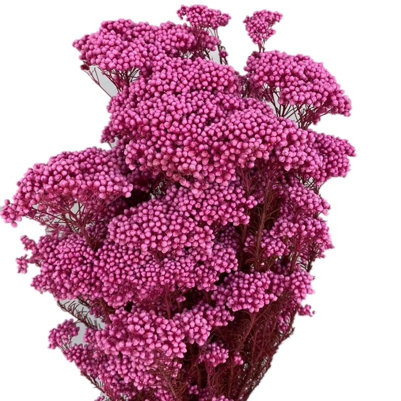 微信图片_20200408183306