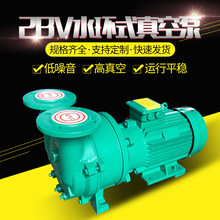 抽氣泵水環式真空泵2BV不銹鋼微型真空泵工業用機電設備	微型氣泵