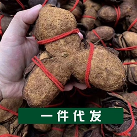 三七;其他药食同源;参类滋补品