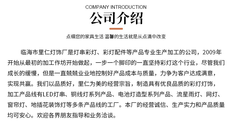 太阳能铜线灯详情_19