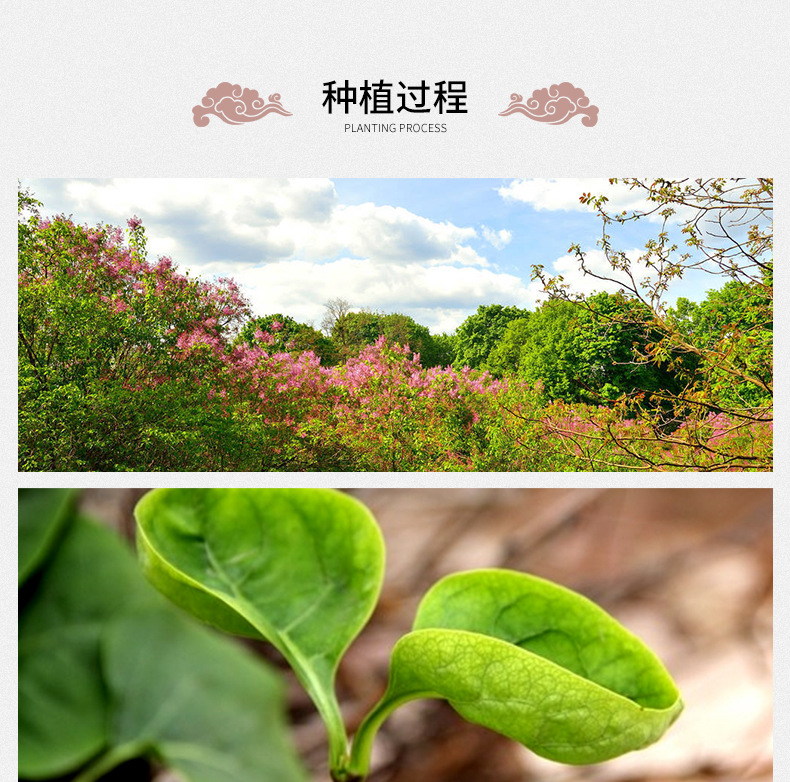 Clove Tea Ding Xiang Cha Loose Herbal Tea from Changbai Mountain 500g Bulk Pack specifications