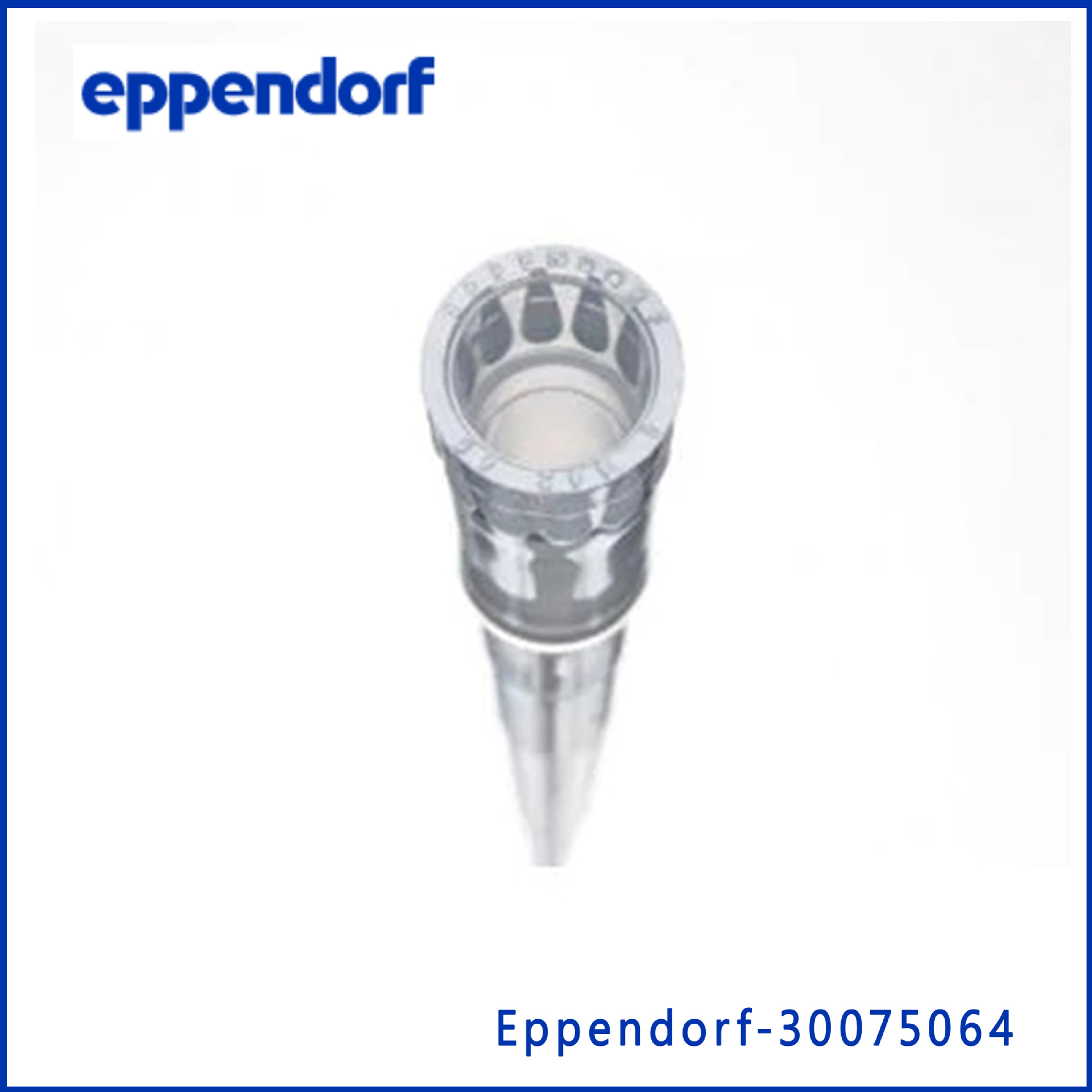 Eppendorf新30075250老30075064epTIPSRacks简易盒装吸头，
