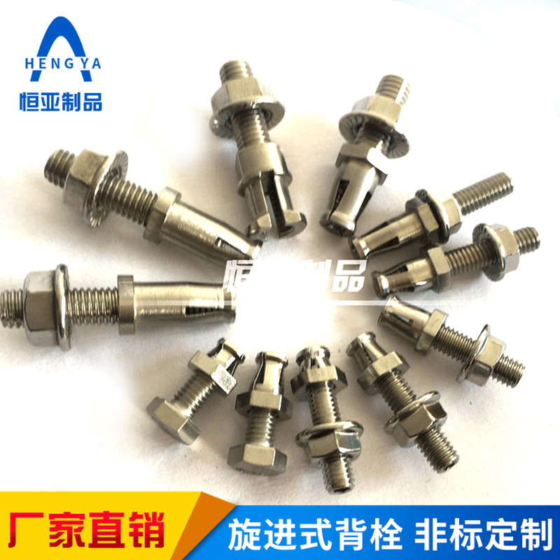 大理石瓷砖背栓不锈钢石材背栓厂家批发旋进式背栓建材幕墙配件