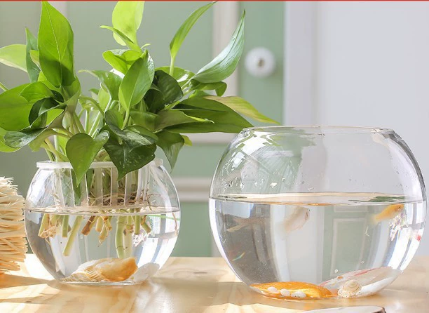 Прозрачный стеклянный шар Маленький аквариум для золотых рыбок Безпочвенная ваза для растений Круглое ведро Настольный аквариум Креативная гидропонная Цветочная бутылка