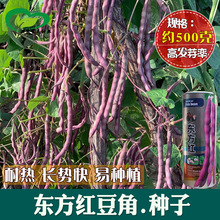 �|���t���ǷN�� �r��ˈ@��������۟o�z�϶���ܿ�����߲���