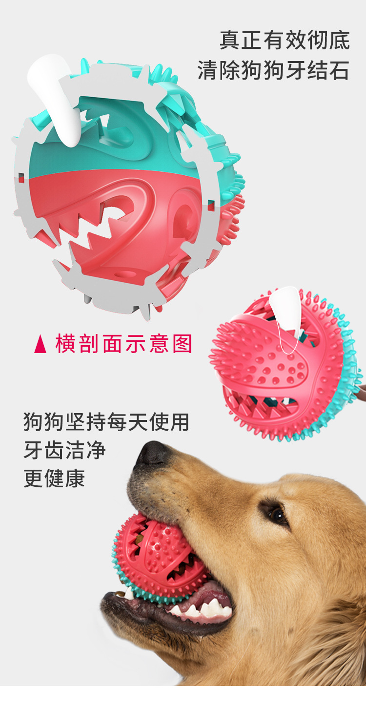 吸盘拉力狗玩具详情_08