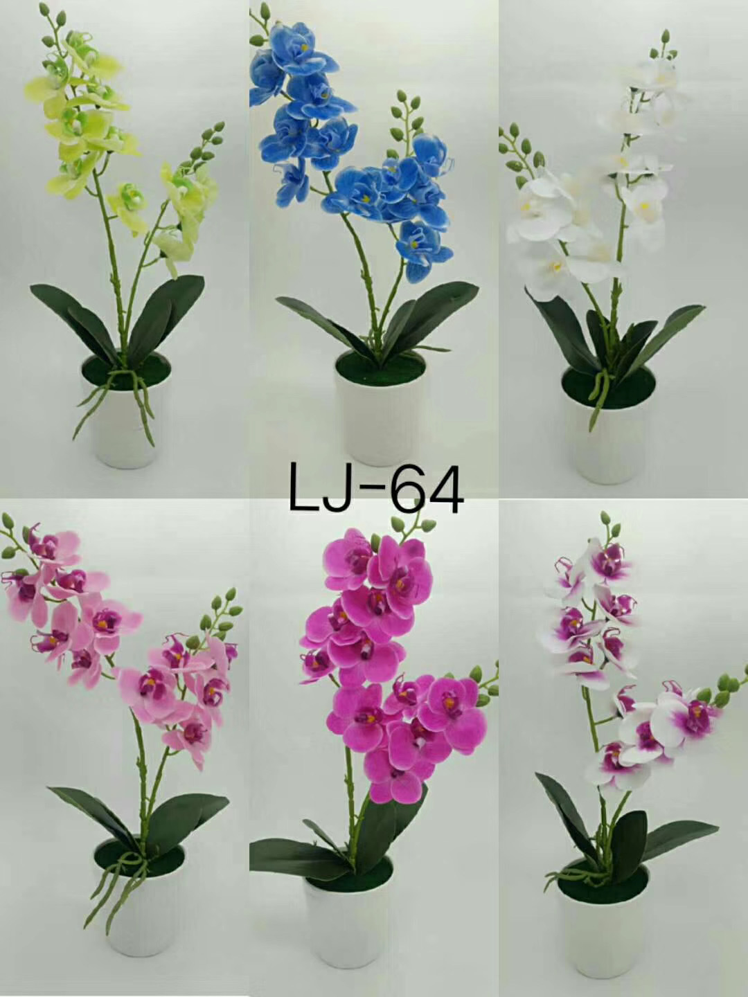 WeChat 圖片_20200704105410