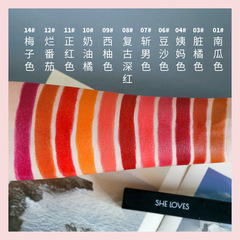 SHELOVES black tube matte lipstick waterproof non-fading lipstick domestic makeup lipstick set wholesale