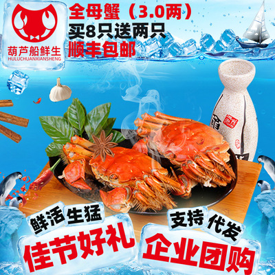 江苏兴化大闸蟹3.0两全母10只买8送2礼盒装A0410母