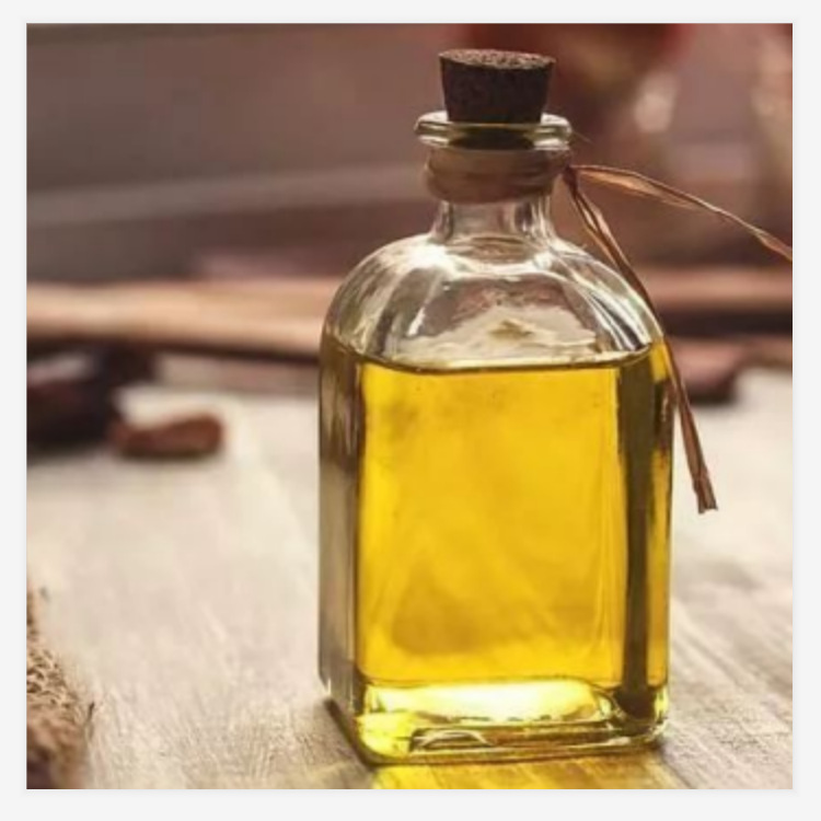 松科植物精油提取设备