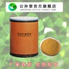 Gong Sun Tang Ginkgo extractive Europe EP standard 10 :Ginkgo flavone 24% Lactone 6% Origin supply