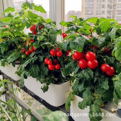 無土栽培陽台種植箱家庭種菜神器室內水培蔬菜設備花盆太陽能配件