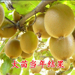 �J������t���S�Ĺ�����J�������Ե��Լ޽����ϱ����Nֲ����Y��