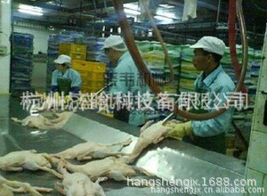 肉鸽屠宰设备