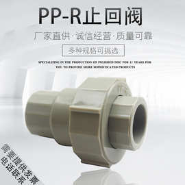 202532PPR止回阀单向阀塑料配件逆止阀4分分1寸寸PPR水管管件配件