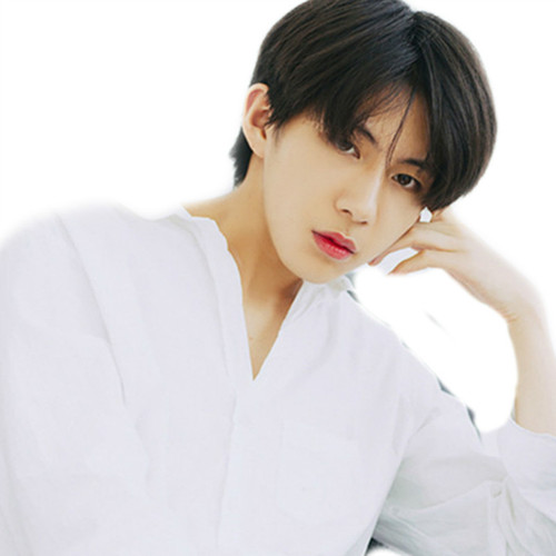 LAZADA Korean handsome female men's wig short straight hair middle parted bangs high temperature silk chemical fiber wig headgear