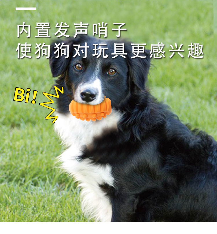 宠物玩具2020新款 橡胶狗咬玩具球 训狗磨牙耐咬发声狗狗玩具批发
