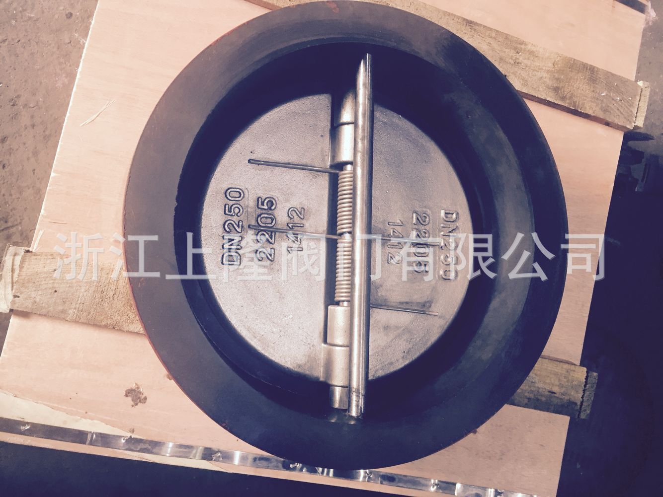 浙江厂家直销H76J对夹衬胶止回阀  碟式全衬胶止回阀 H76J-10C