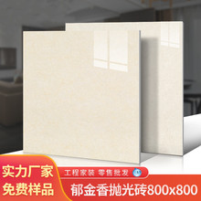 客厅800*800抛光砖客厅郁金香瓷砖 卧室防滑耐磨地板砖厨房卫生间
