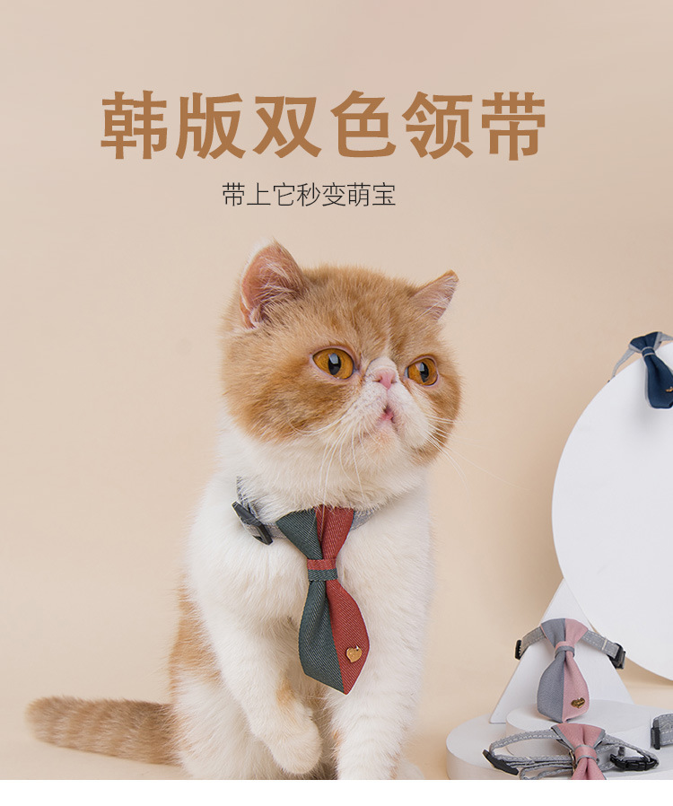 20PL4004韩版领带_02